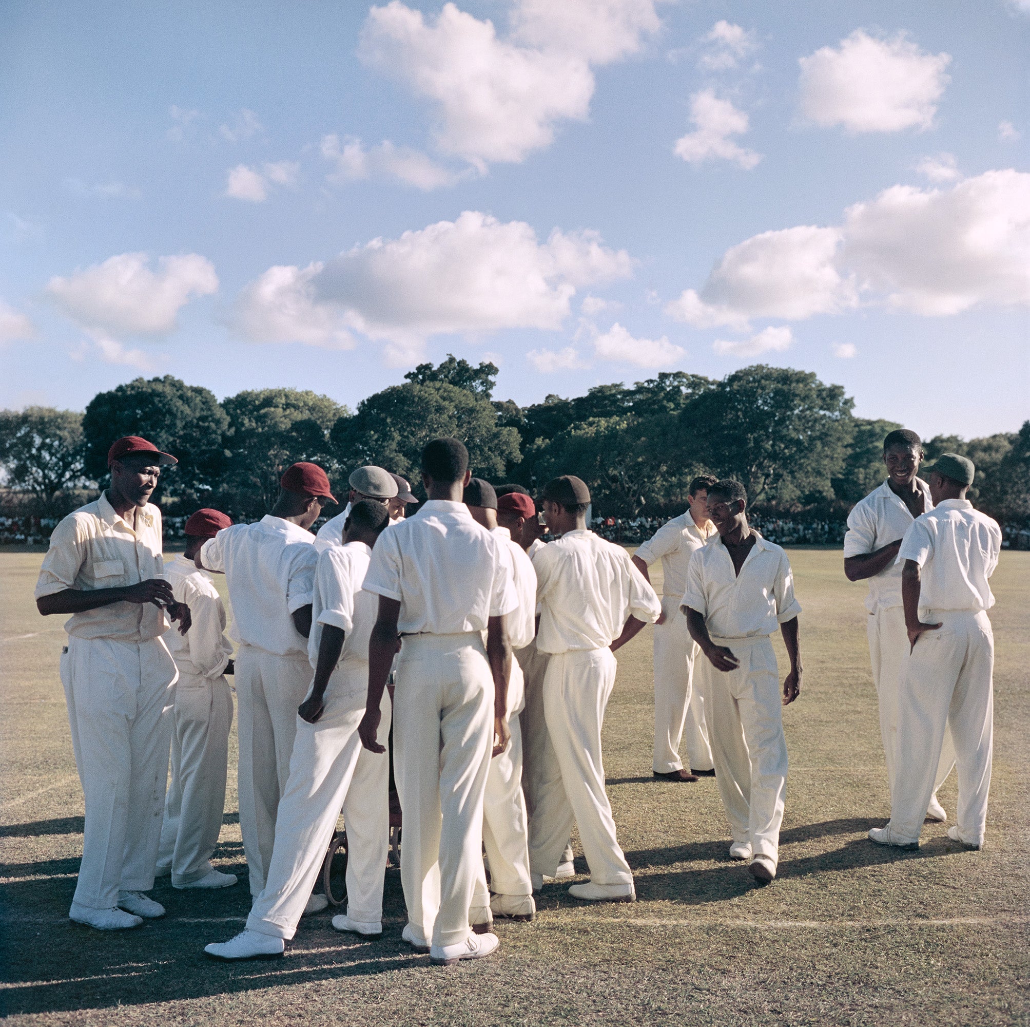 Cricket In Antigua