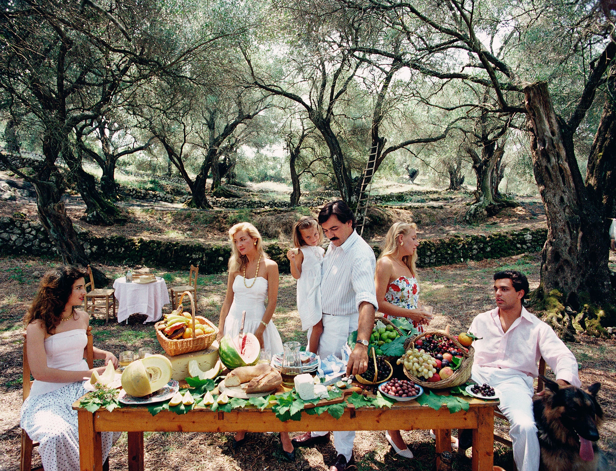 Corfu Picnic