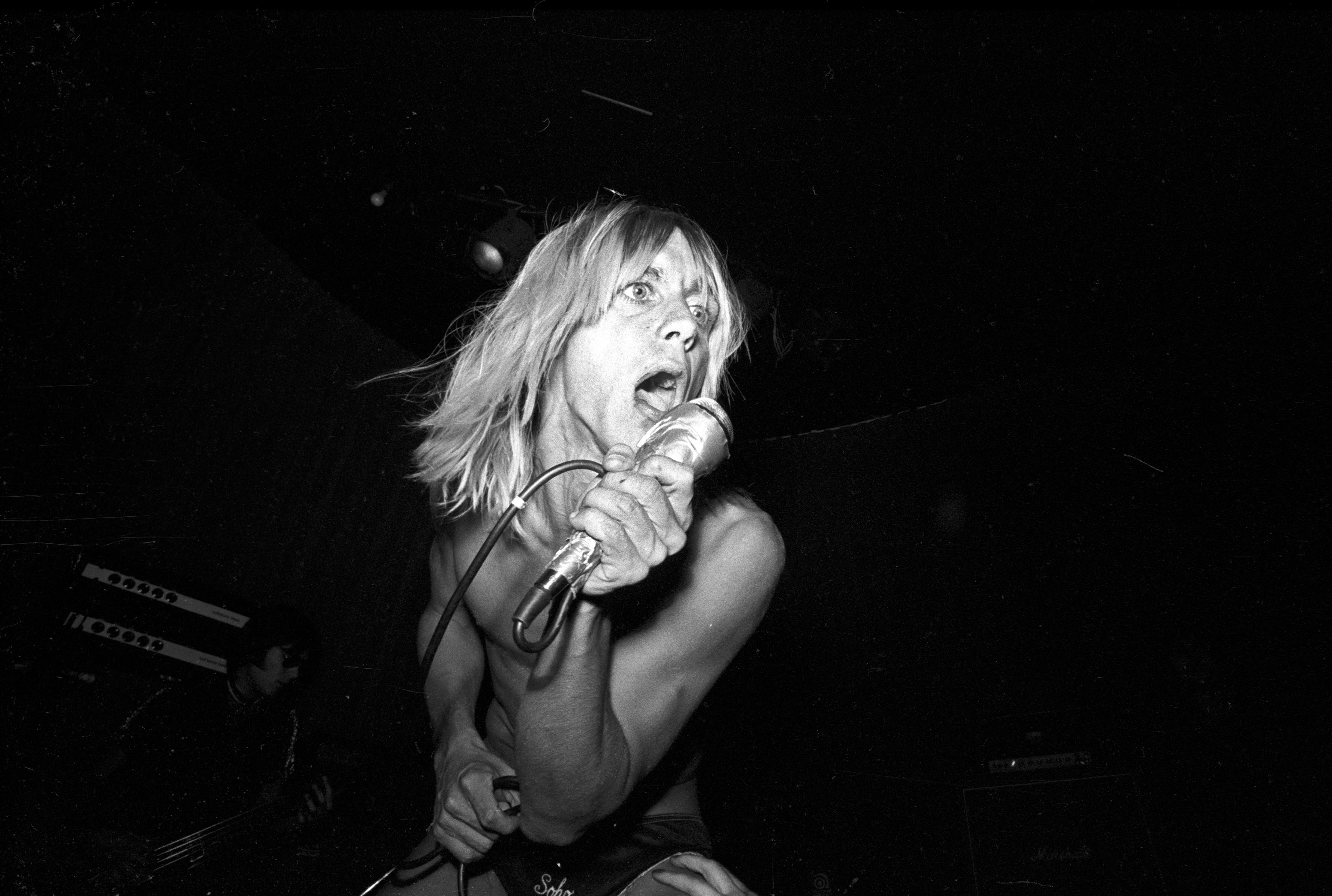 Iggy Pop