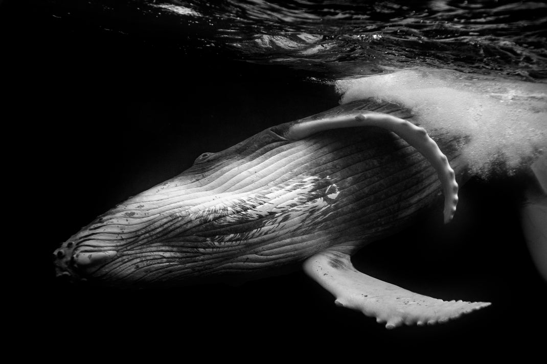 About Us – Getty Images Gallery