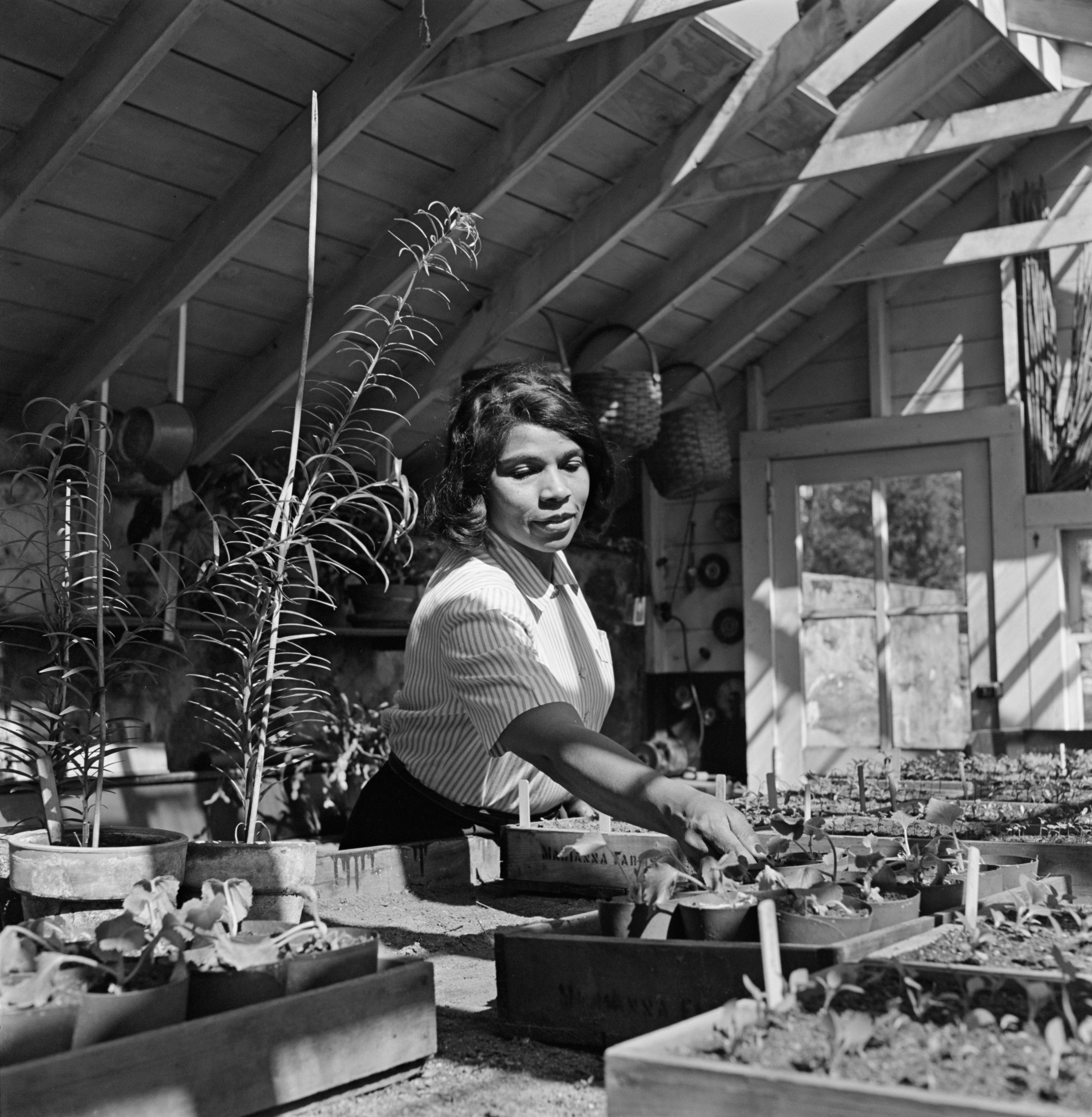 Marian Anderson