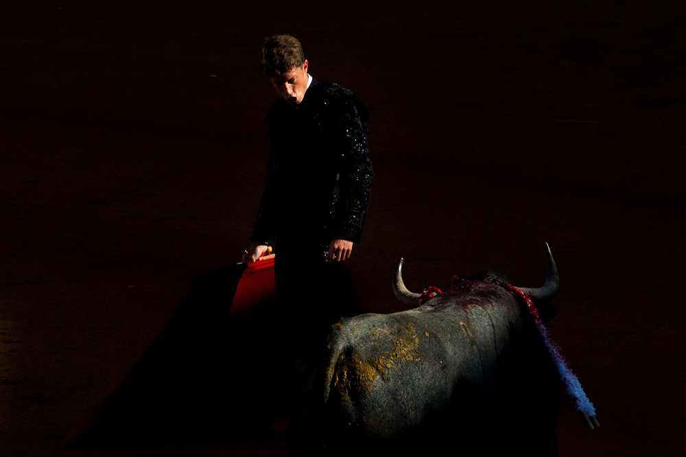Bullfight at Feria de Abril fine art photography