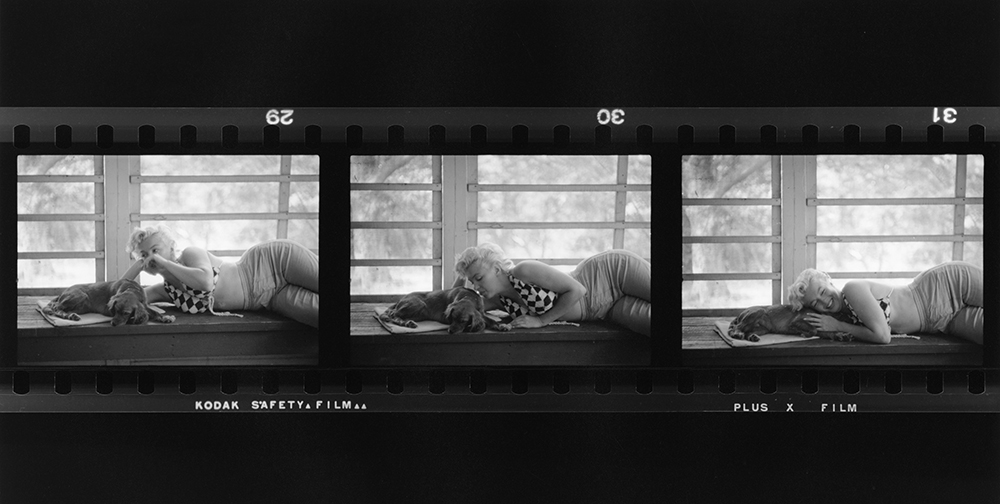 Marilyn Cuddles A Dog fine art photography