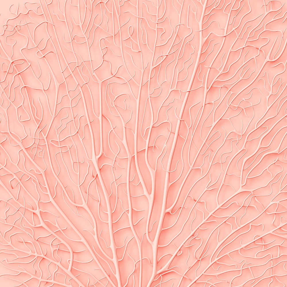 Living Coral color of the Year 2019 fine art photography