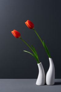Bowing Red Tulip in White Curve Vase