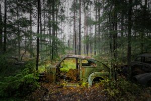 Rusty abandoned car in forest