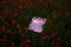 Dreamlike picture of mirror reflecting the sunset sky between red poppies field during spring in Spain.