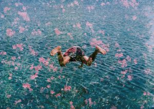 Diving into Pink Flowers